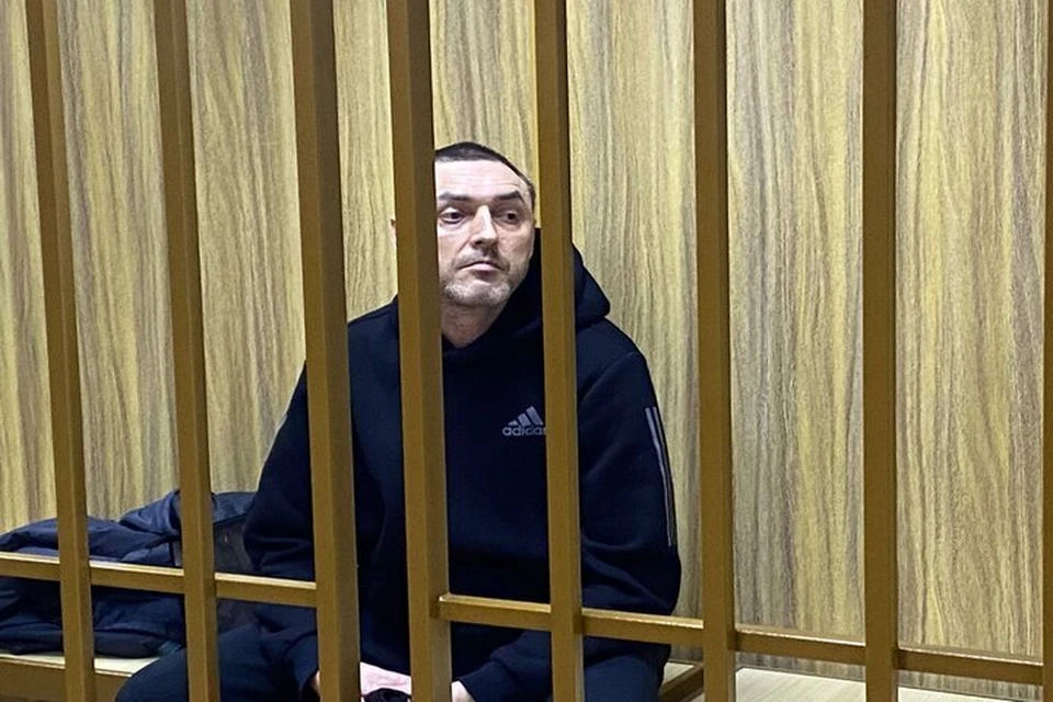 Обвиняемого в убийстве 8-летней Насти Виталия Бережного будет защищать юрист Александр Почуев, судившийся с Мадонной