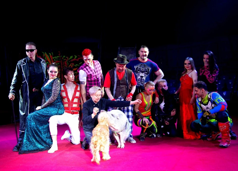 ФОТО: группа в ВК Цирк шапито Гранд в Димитровграде
