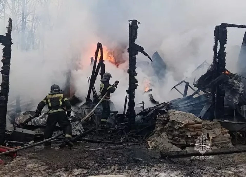 Пожар произошел в Елизовском районе. Фото: ГУ МЧС по Камчатскому краю