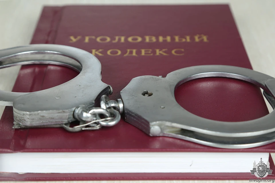 За кражу подозреваемому грозит до 5 лет лишения свободы (Фото: МВД Приднестровья).