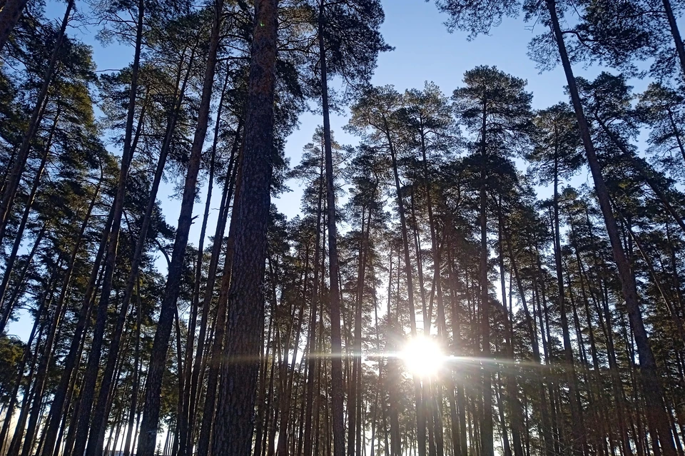 В Липецке потеплеет