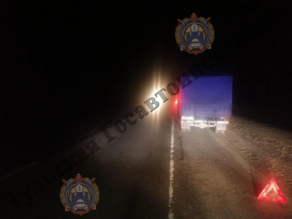 В Плавском районе Тульской области грузовой автомобиль сбил 24-летнего мужчину