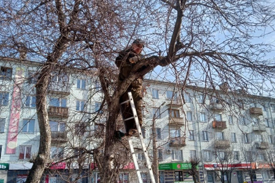 Санитарную и омолаживающую обрезку деревьев проведут в течение апреля. Фото: киров.рф