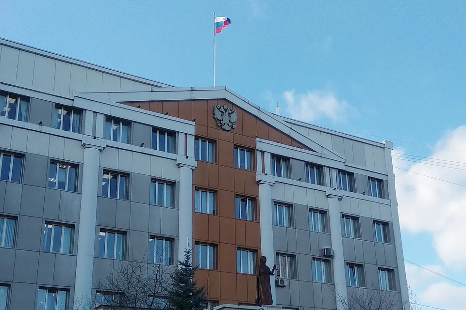 В Липецкой области осудили рецидивистку, которая ударила ножом подругу