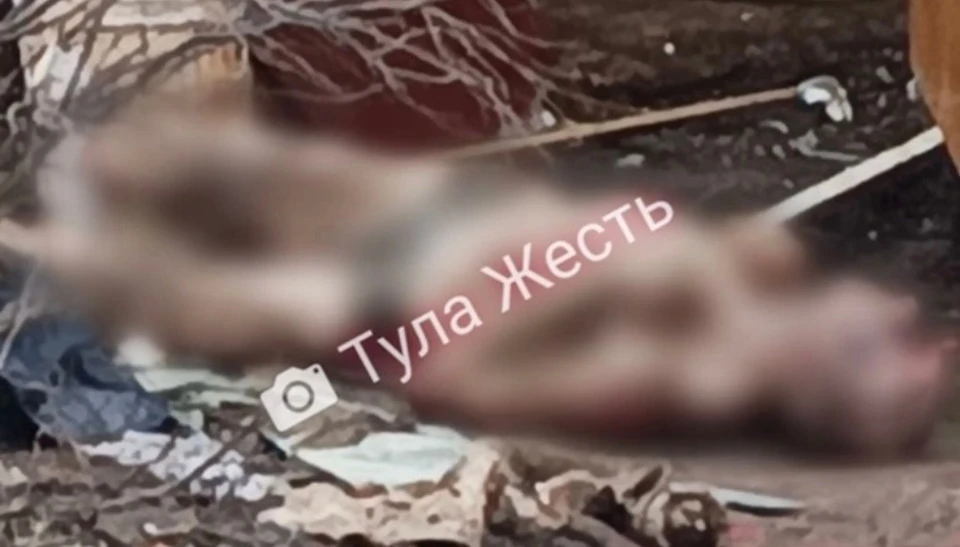 В Туле на улице Генерала Маргелова подростки обнаружили тело мертвого мужчины