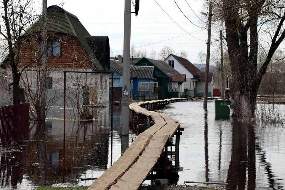Фото: пресс-служба Брянской городской администрации.