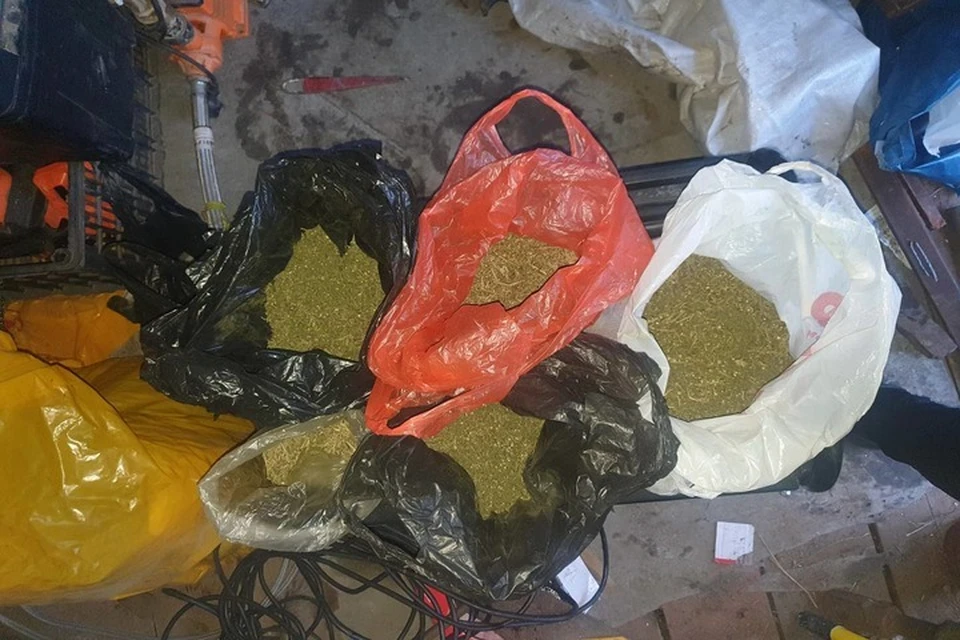 Мужчину с килограммом марихуаны задержали в Хабаровском крае Фото: УМВД России по Хабаровскому краю