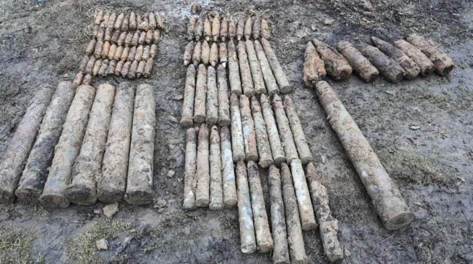 В Смоленской области на кладбище нашли 102 боеприпаса времен ВОВ. Фото: СОГБУ «Пожарно-спасательный центр».