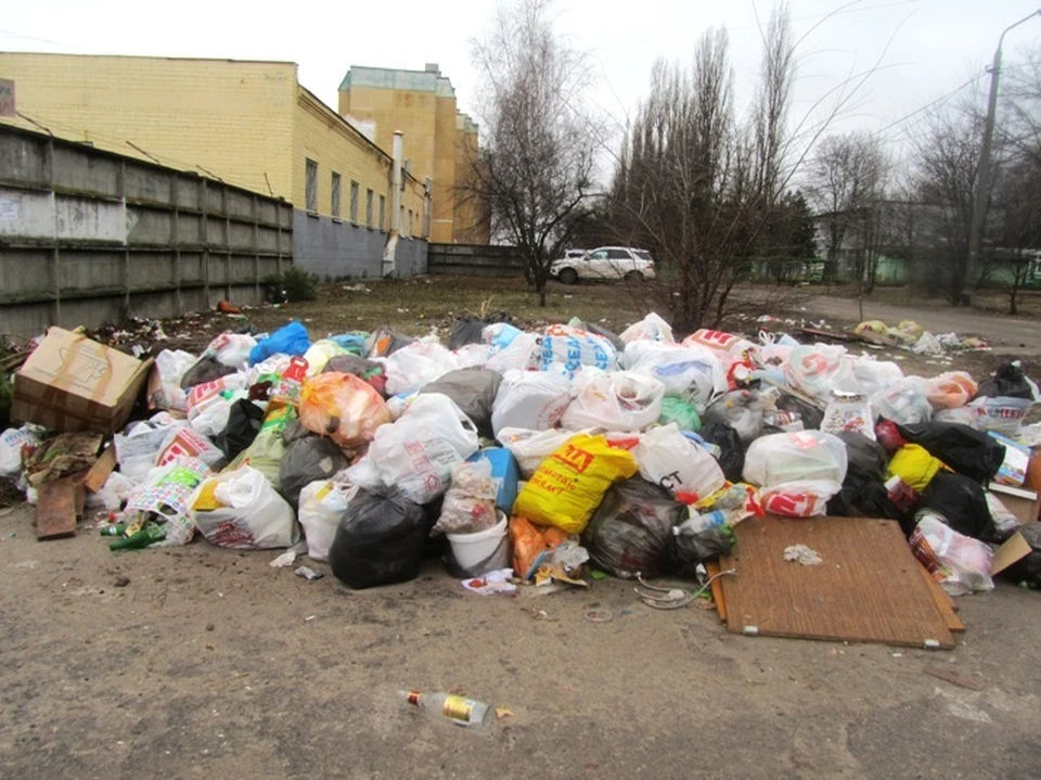 Курян призывают сдавать мусор в переработку