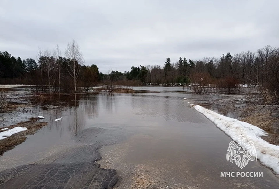 Из-за паводка в Нижегородской области затопило 13 мостов и 160 садовых участков.