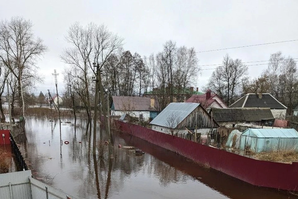 Фото: пресс-служба Брянской городской администрации.
