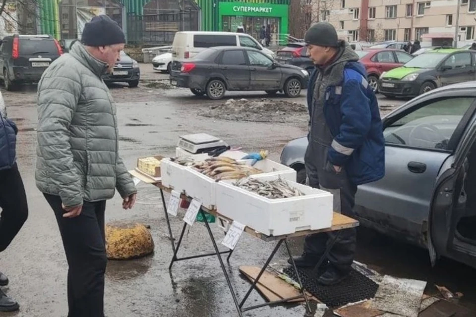 В районе Комендантского проспекта торговцы выдают прошлогоднюю корюшку за свежую. Фото: t.me/Komenda24