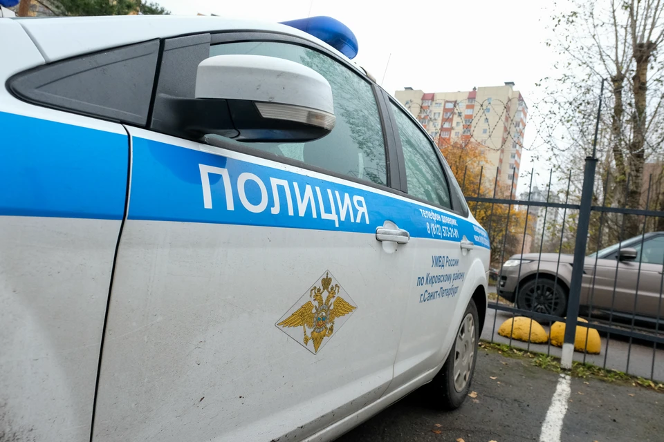 Полиция расследует обстоятельства группового конфликта в торговом центре в Петербурге