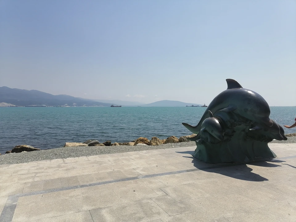 Стрельбы проведут в море