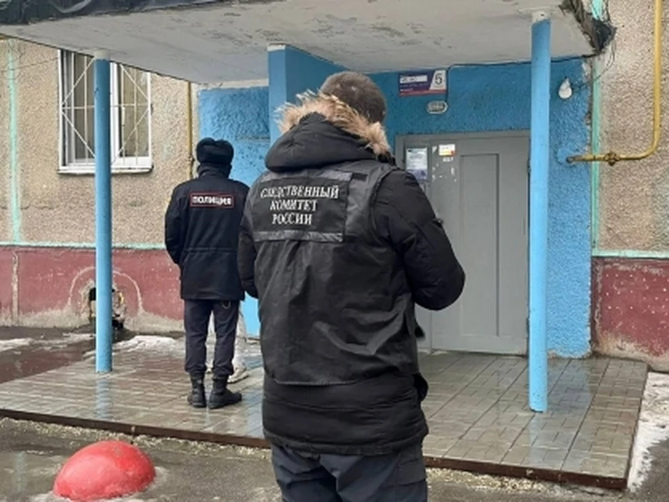 Фото: СУ СКР по Саратовской области