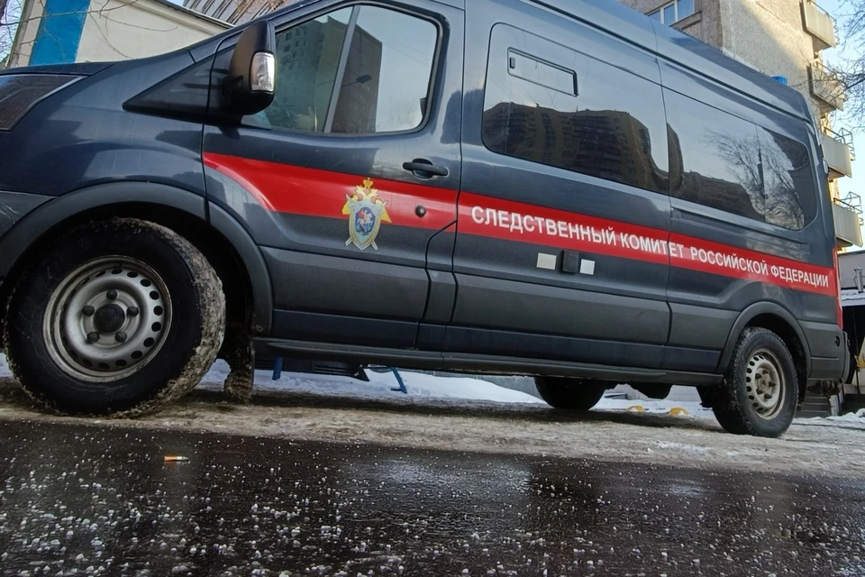 За преступления против половой неприкосновенности 17-летней рязанки осудили двух иностранцев.