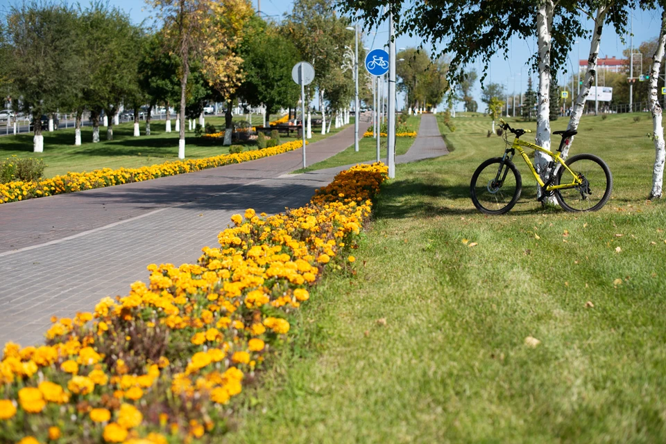 Работы запланированы в рамках субботника