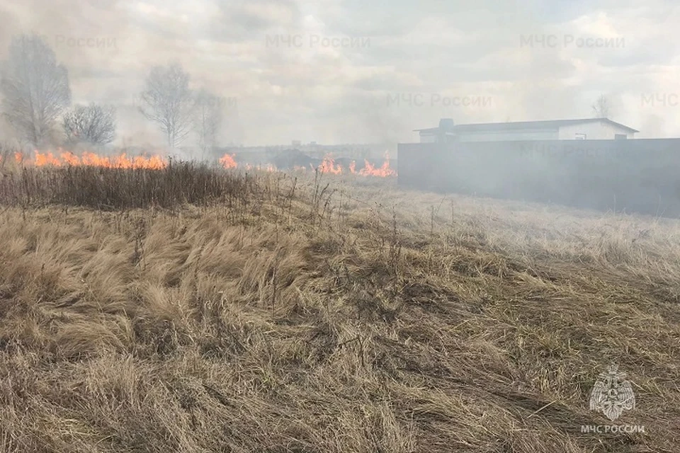 Огонь уже вплотную подошел к одному из участков СНТ.