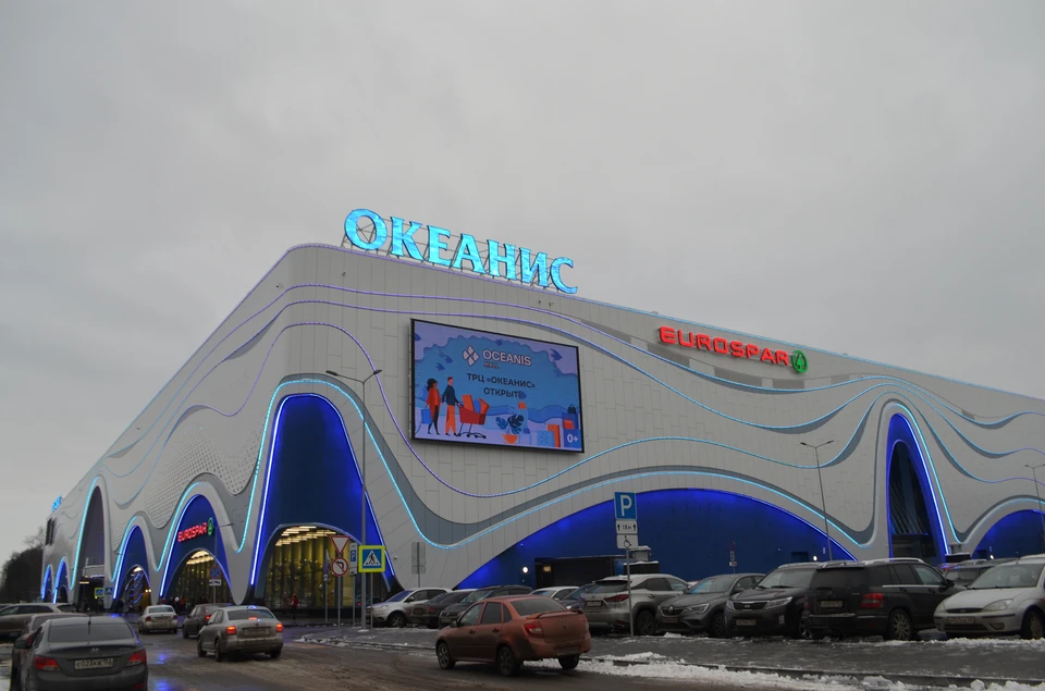 Эвакуация проходит в нижегородском ТЦ «Океанис» 11 апреля.