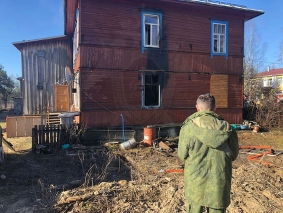 Фото: пресс-служба СУ СК России по Костромской области
