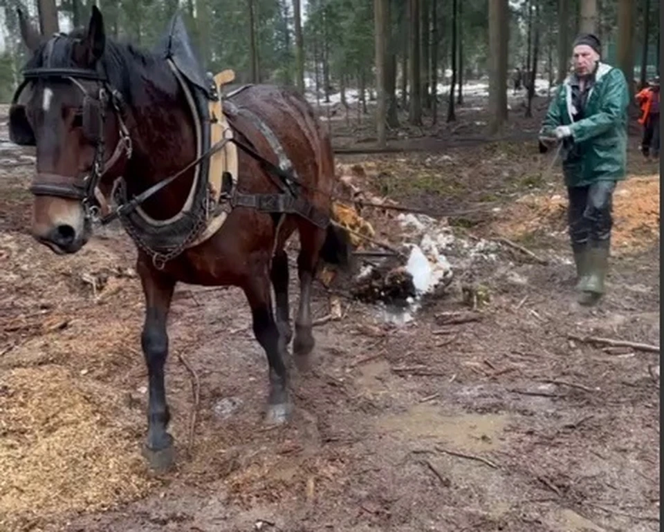 скрин с видео ВСМЗ