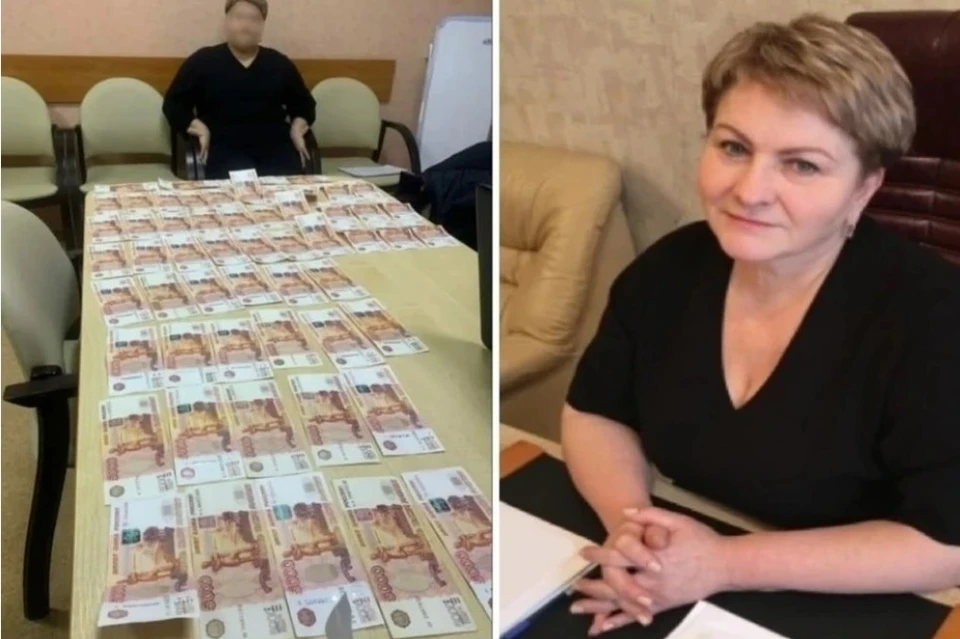 Главврача Центра гигиены и эпидемиологии Рязанской области оставили под стражей.