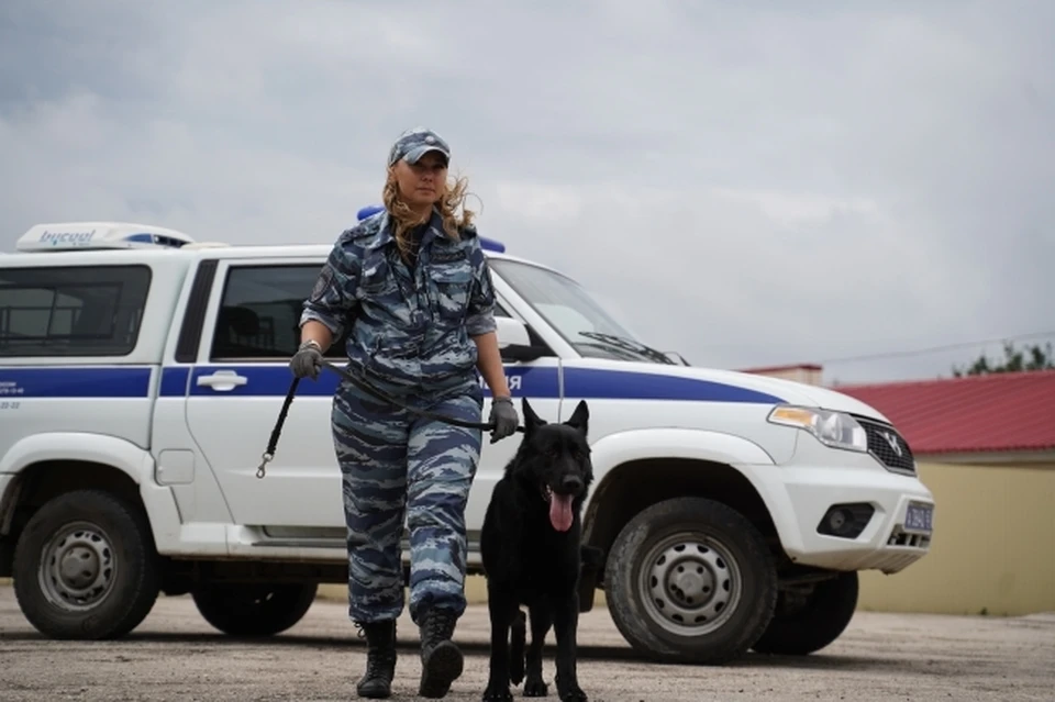 Местные еще не обращались в полицию. Иллюстрация из архива.