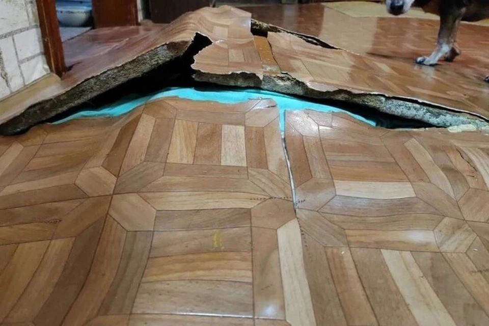 Фото: соцсети