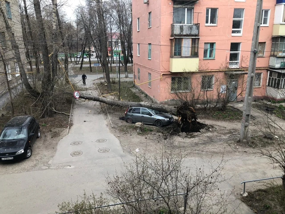 Фото: ЧП Ульяновск.