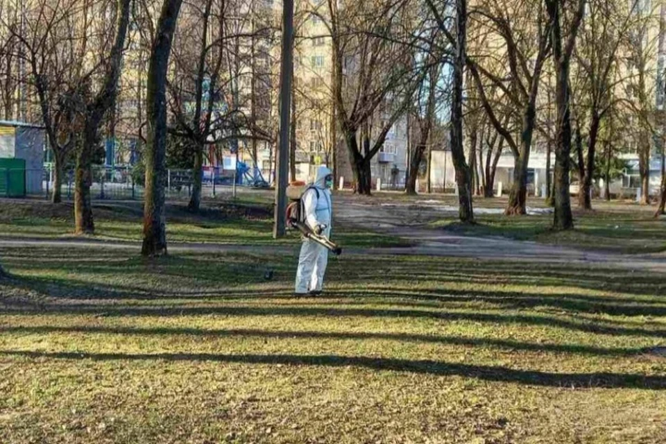 В Ярославле скверы и парки начали обрабатывать от клещей