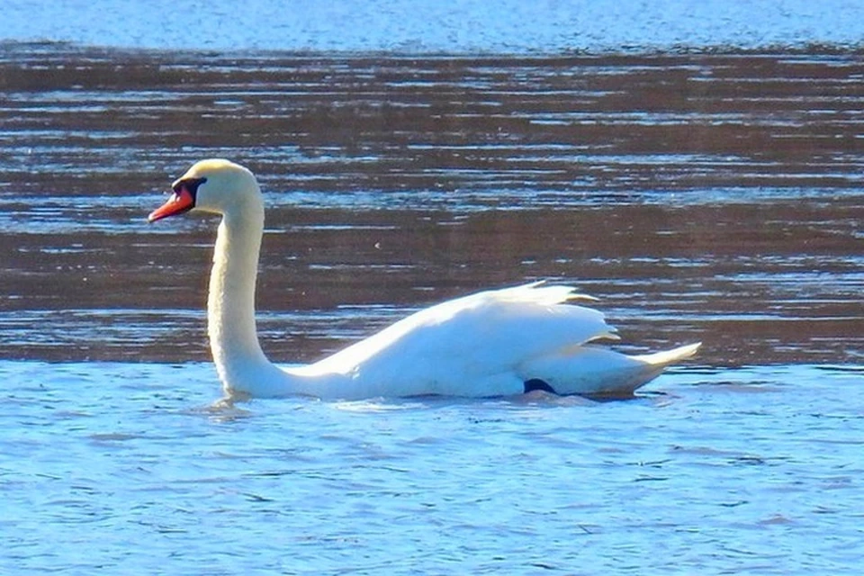 Фото: vk.com/ivaniutaandrei