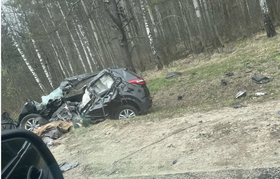 В Смоленской области 62-летний мужчина погиб в ДТП с КАМАЗом. Фото: «Roslavlmotor» в соцсетях.