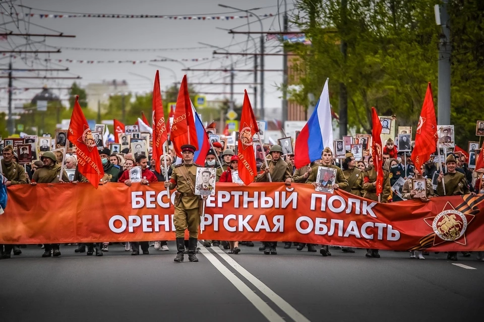 Краткое содержание бессмертный полк