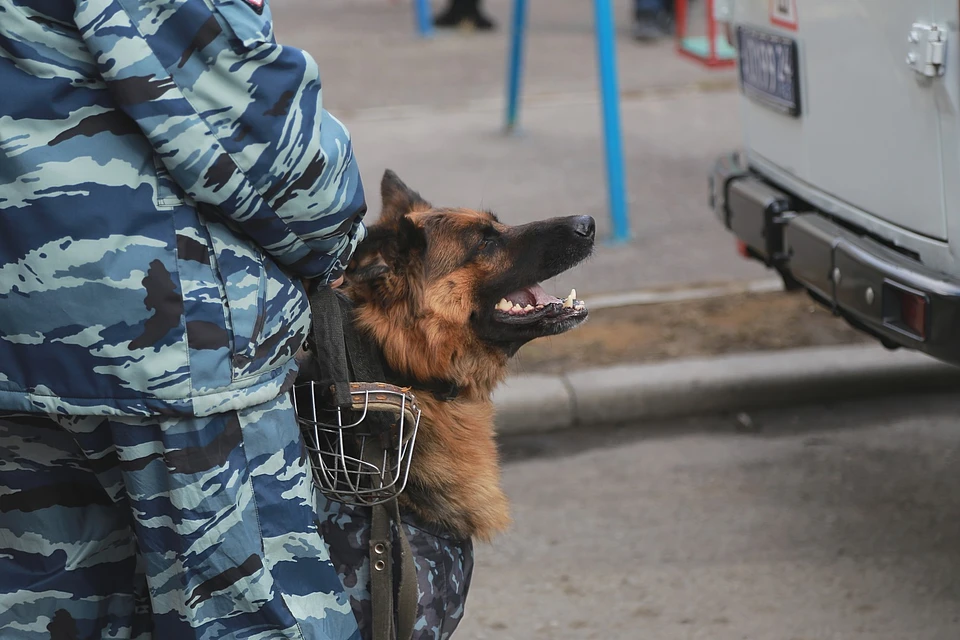 В Красноярске аферисты под видом электриков похитили у пожилой женщины 400 тысяч рублей
