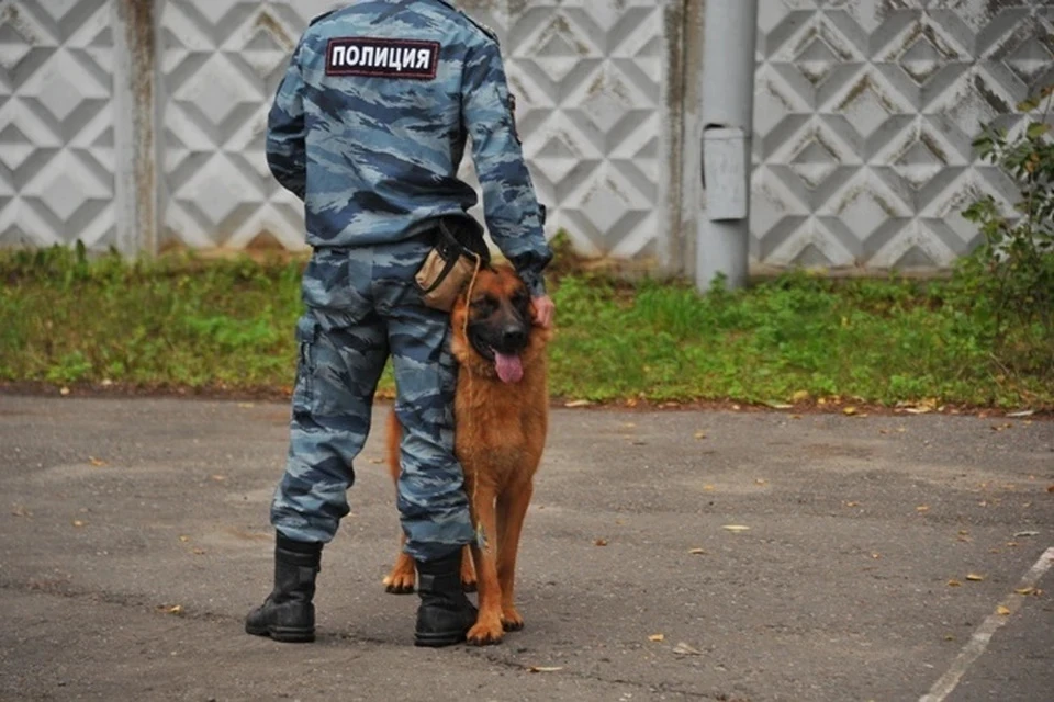 На месте работали сотрудники оперативных служб