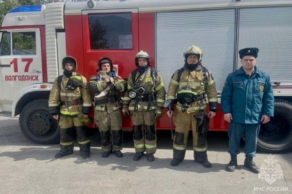 Животных вынесли из горящей квартиры на улице Ленина. Фото: пресс-служба МЧС России по РО.