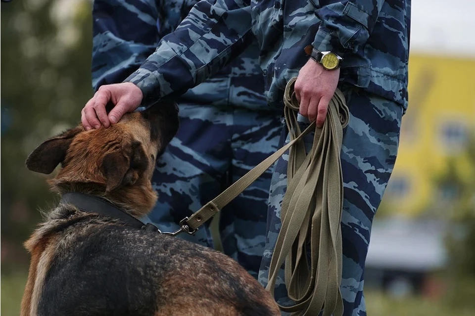 МАльчики пропали в начале апреля.