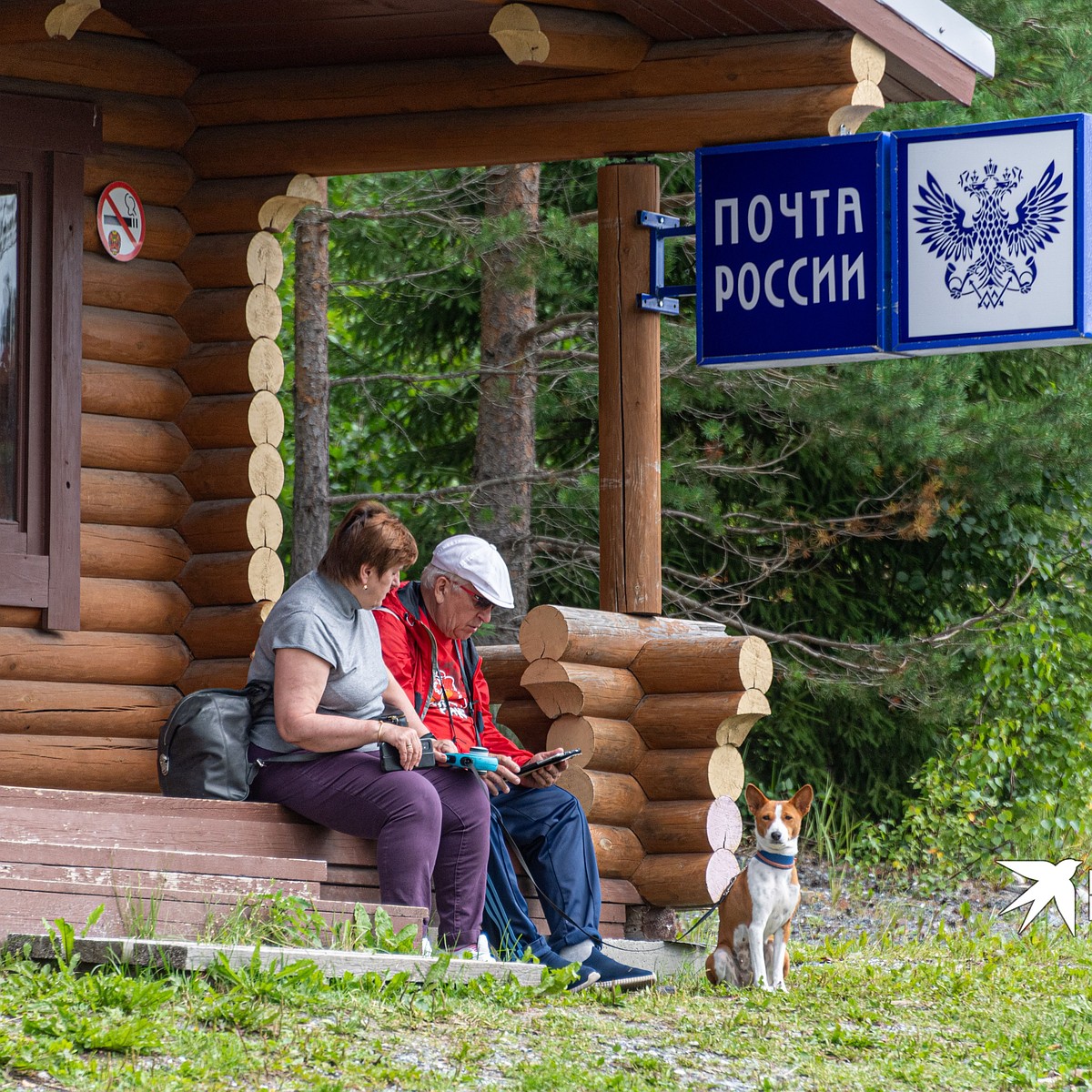 В Свердловской области «Почта России» набирает 300 сотрудников, чтобы  доставлять пенсию по новым правилам - KP.RU