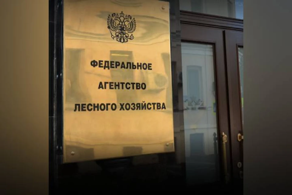 В Иркутской области власти обсудили пожароопасный сезон