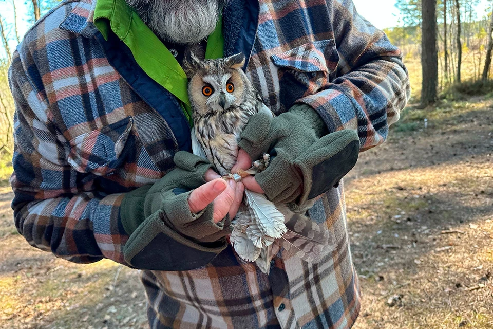 В заказник после лечения вернулись птицы. Фото: vk.com/infoeco_spb