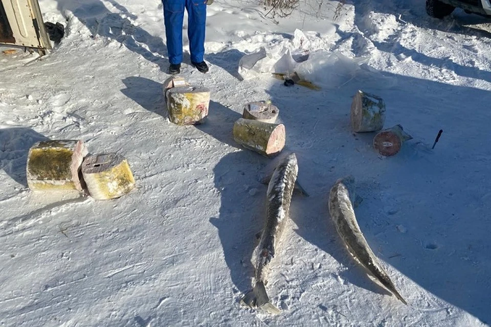 Мужчина пойдет под суд за покупку рыбы у уличных торговцев в Хабаровском крае