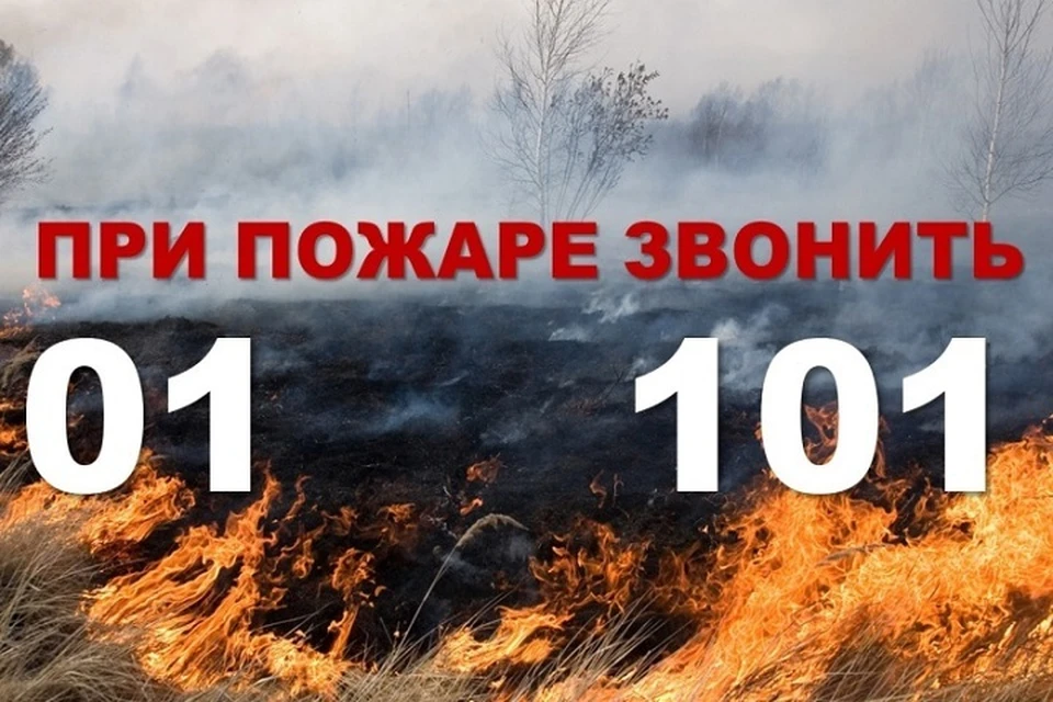 По данным ГУ МЧС по Ярославской области, в регионе установилась высокая пожароопасность.