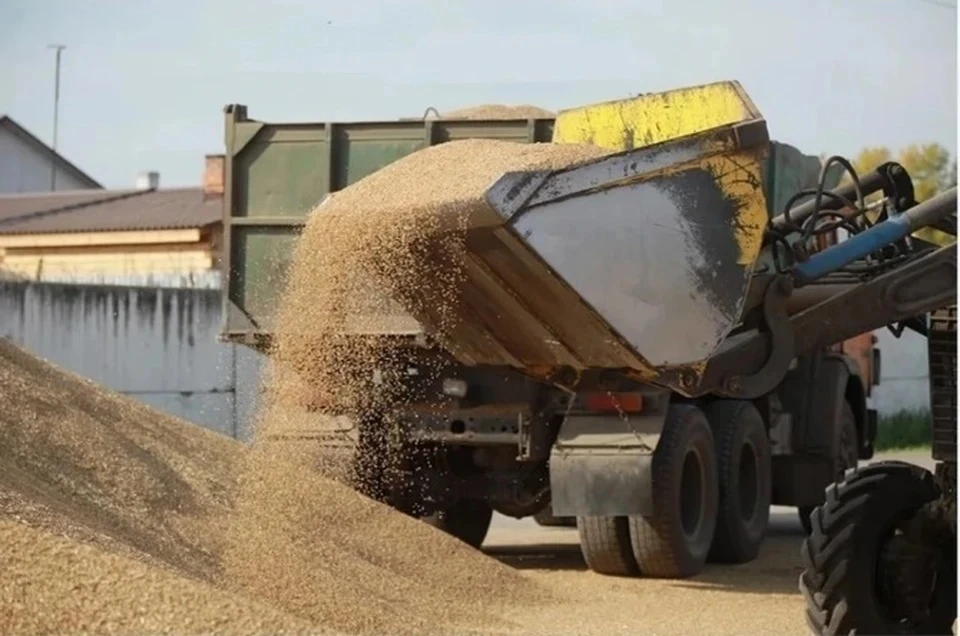 Венгрия не намерена отказываться от запрета на импорт украинской сельхозпродукции