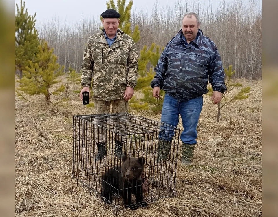 Синонимы «в ограде»