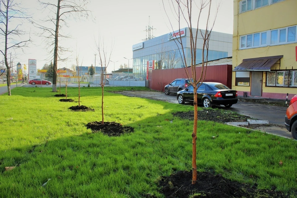 Фото: пресс-служба администрации Орла