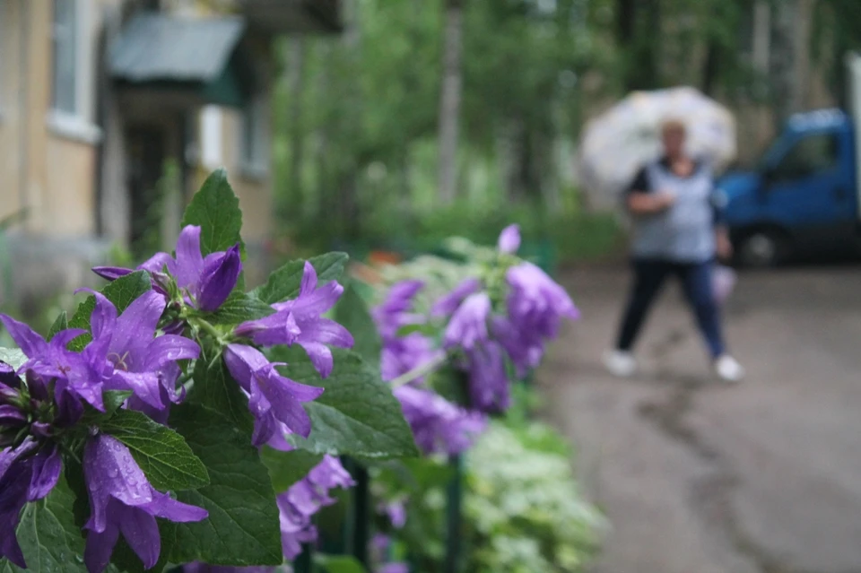 Фото: Нина ЮШКОВА.