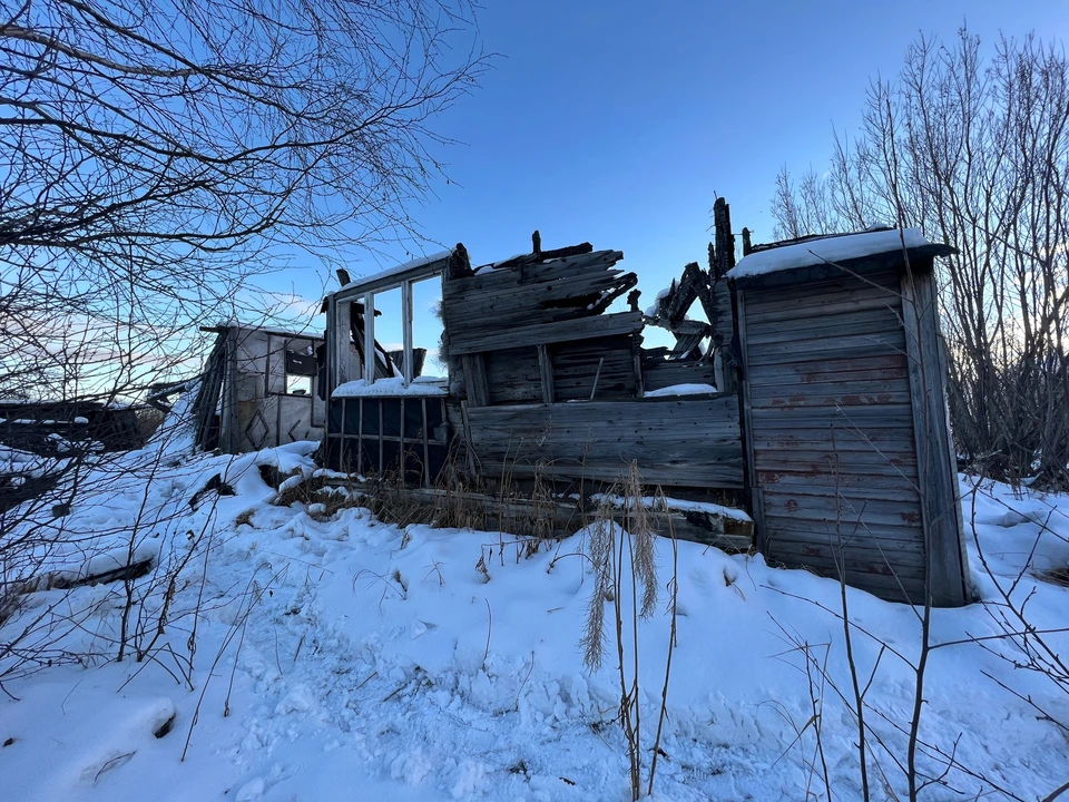 Фото: СК Коми