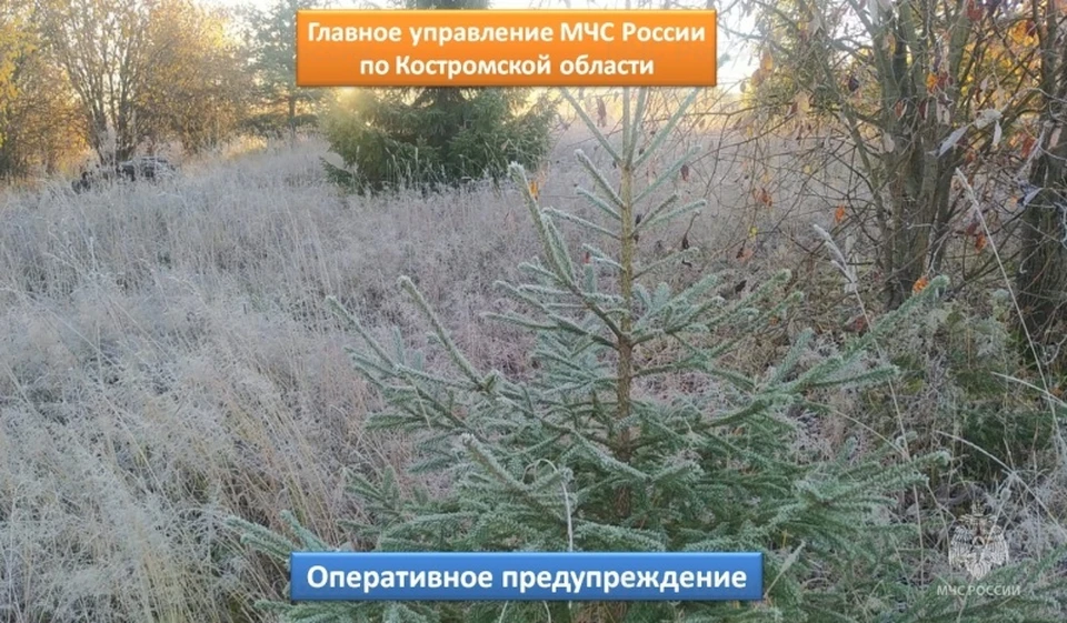 Фото: пресс-служба ГУ МЧС России по Костромской области