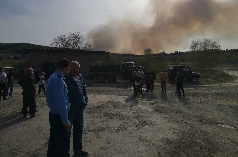 Прокуратура Ревды проводит проверку в связи с возгоранием в лесном массиве на территории городского округа Ревда и городского округа Дегтярск Фото: прокуратура Свердловской области