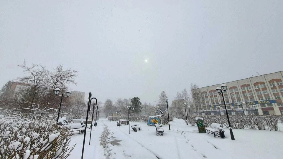 Фото: Соцсети.